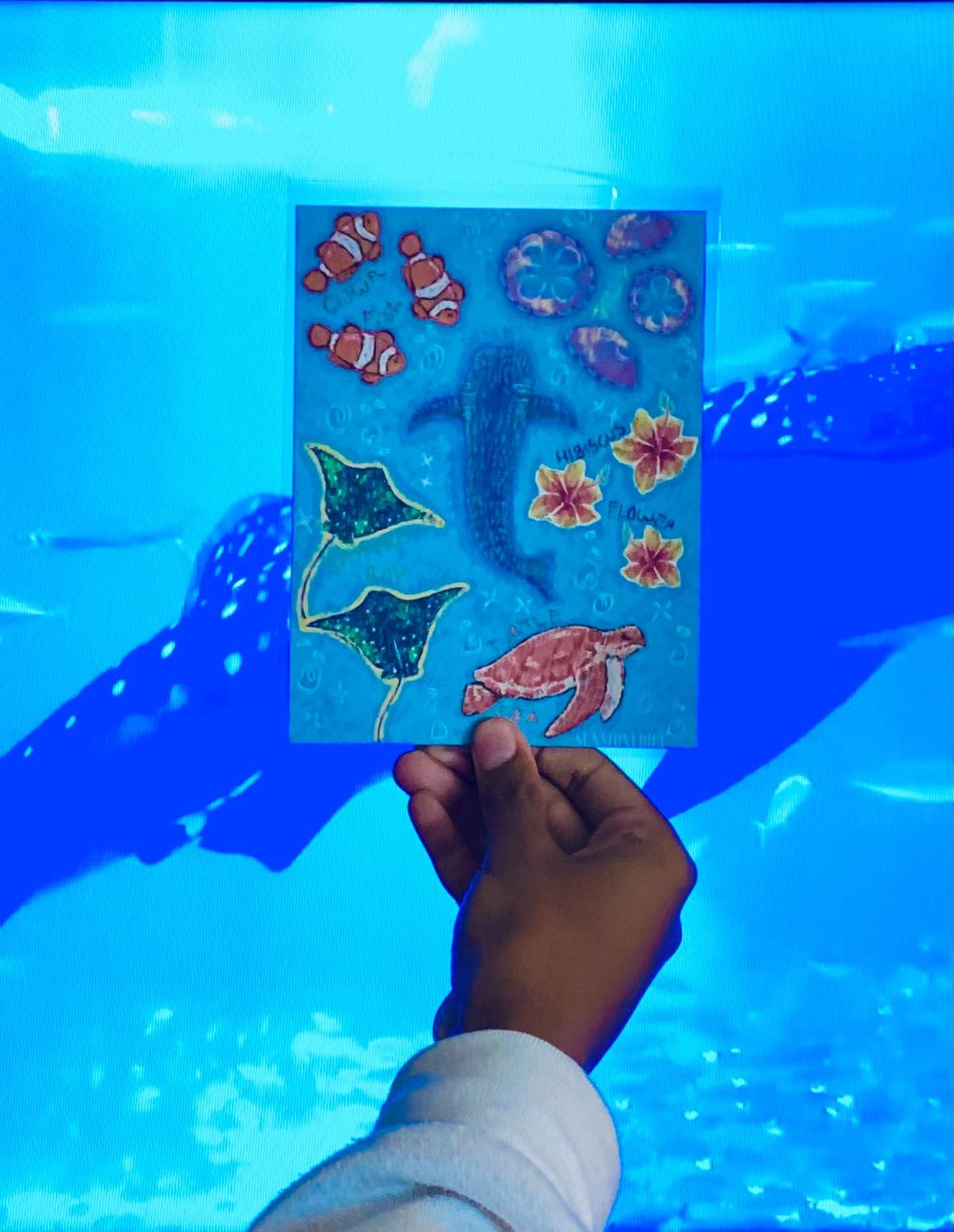 Aquarium Print